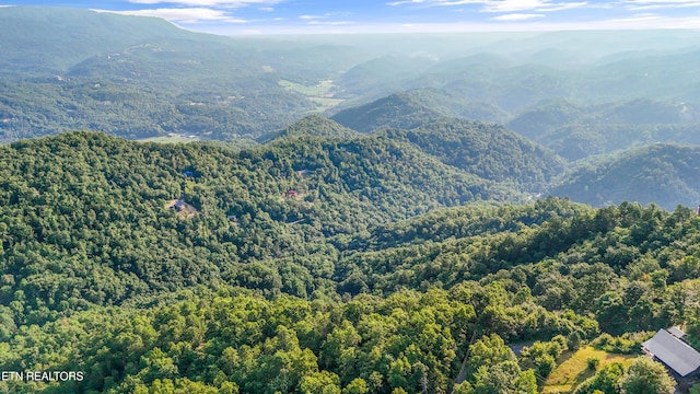 LOT5 Overholt Trl, Sevierville, TN 37862 - photo 6
