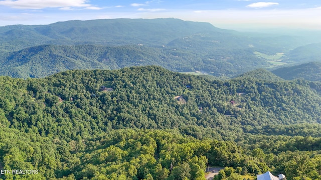 LOT5 Overholt Trl, Sevierville, TN 37862 - photo 1