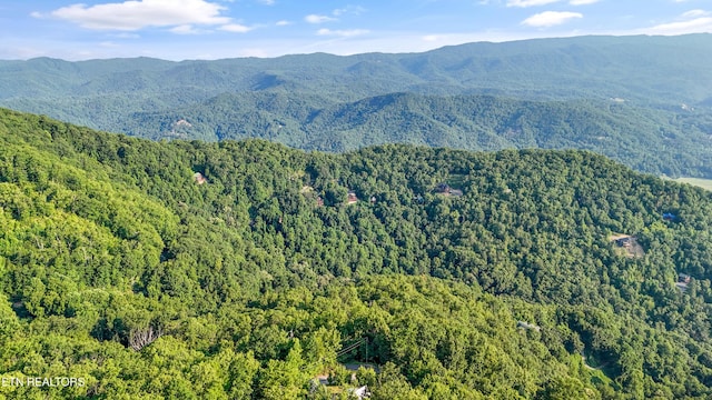 LOT5 Overholt Trl, Sevierville, TN 37862 - photo 7