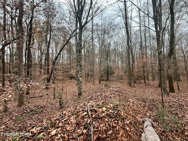 LOT2 Evergreen Dr, Oneida TN, 37841 land for sale