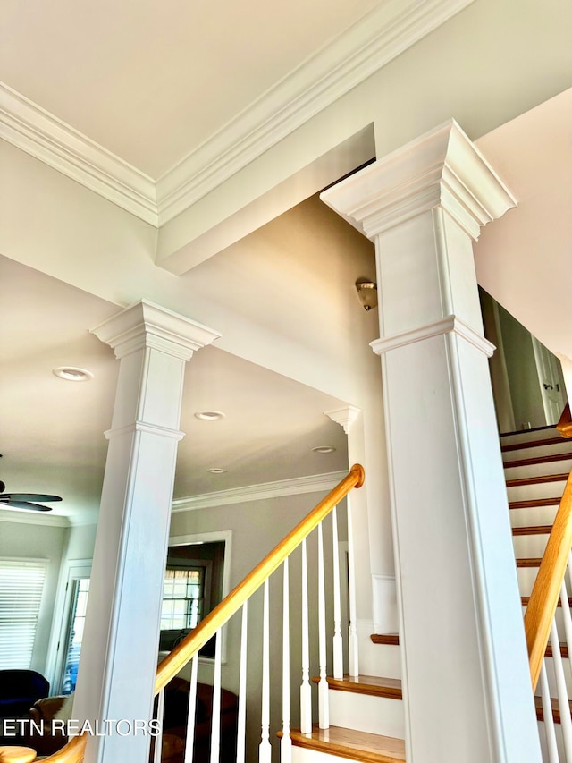 staircase featuring ceiling fan and crown molding