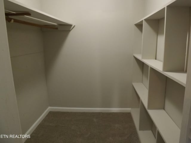 walk in closet with dark colored carpet
