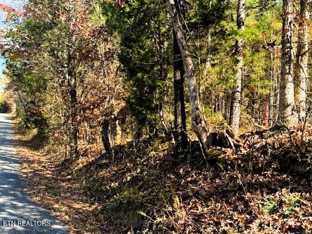 Listing photo 3 for 5ACRES Redman Ln, Decatur TN 37322