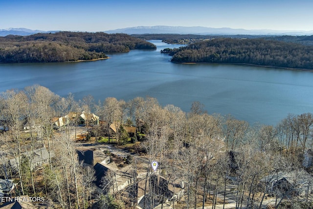 property view of water featuring a mountain view