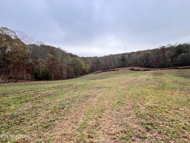 LOT4 Raby Hollow Rd, Kingston TN, 37763 land for sale