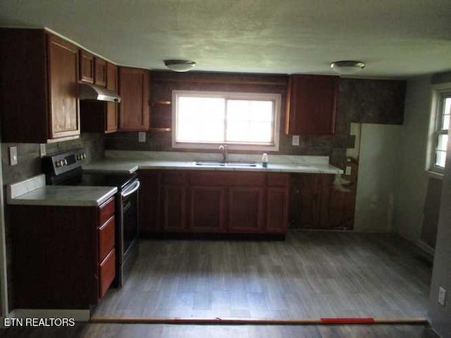 kitchen featuring decorative backsplash, light hardwood / wood-style flooring, stainless steel electric stove, and sink