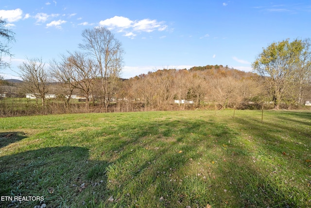 view of yard featuring a rural view