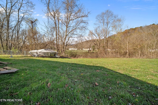 view of yard featuring a mountain view