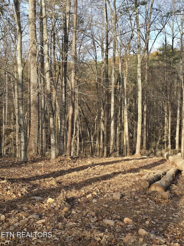248 Norman Rd, Powell, TN 37849 - photo 5
