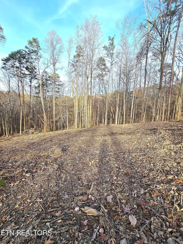 248 Norman Rd, Powell, TN 37849 - photo 2
