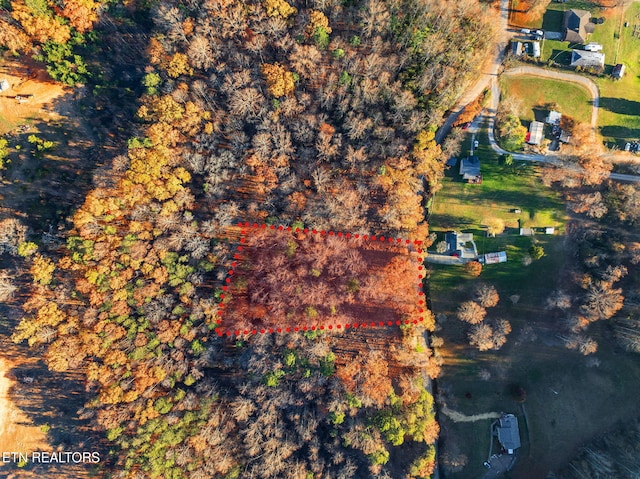 248 Norman Rd, Powell, TN 37849 - photo 3