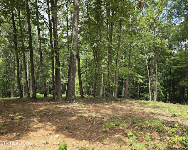 248 Norman Rd, Powell, TN 37849 - photo 1