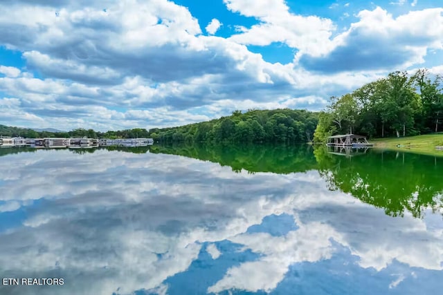 property view of water