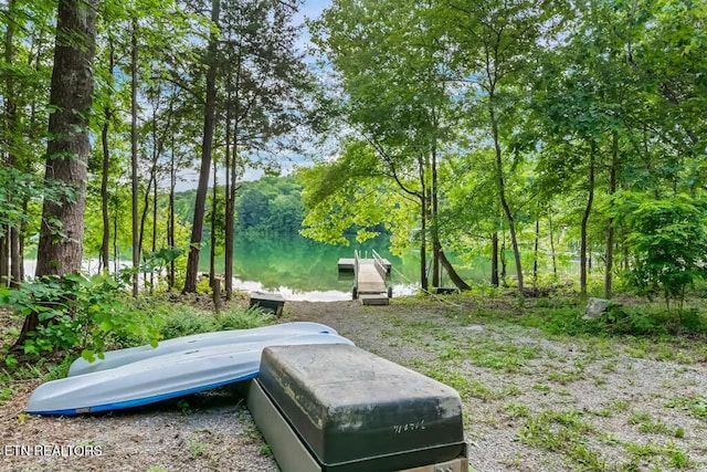 view of yard featuring a water view and a boat dock