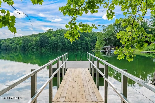 dock area featuring a water view