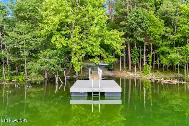 view of dock with a water view