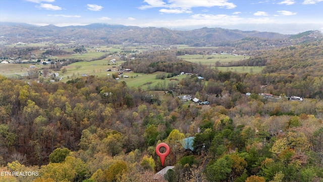 aerial view with a mountain view