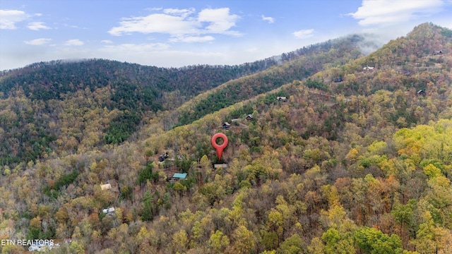 view of mountain feature