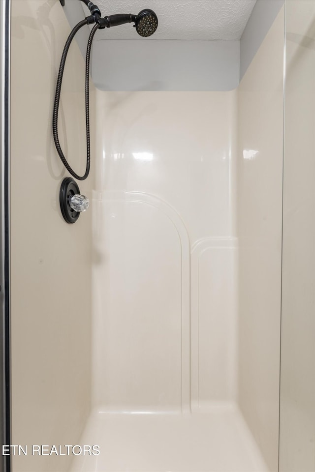 interior details featuring a shower