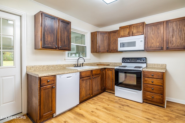 kitchen featuring light countertops, ornamental molding, light wood-style floors, white appliances, and a sink