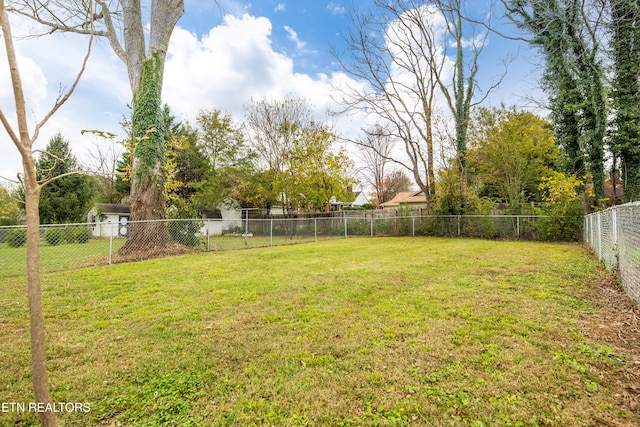 view of yard with a fenced backyard