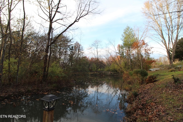 property view of water