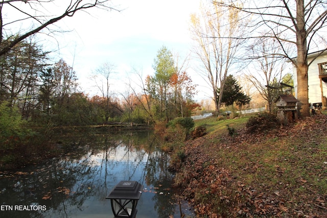 property view of water