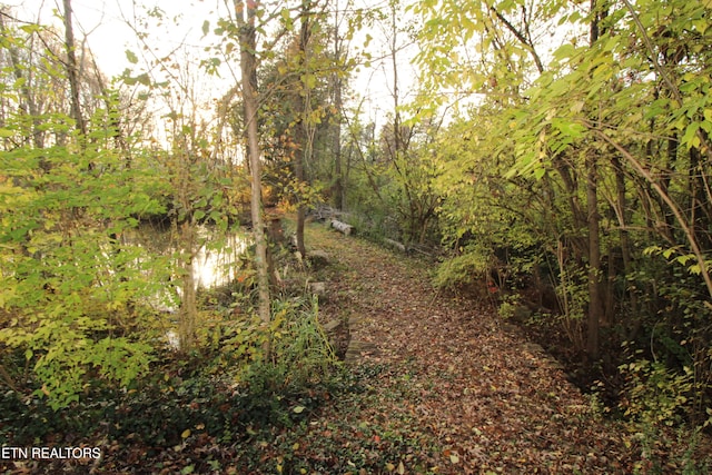 view of landscape