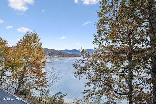 view of water feature with a mountain view