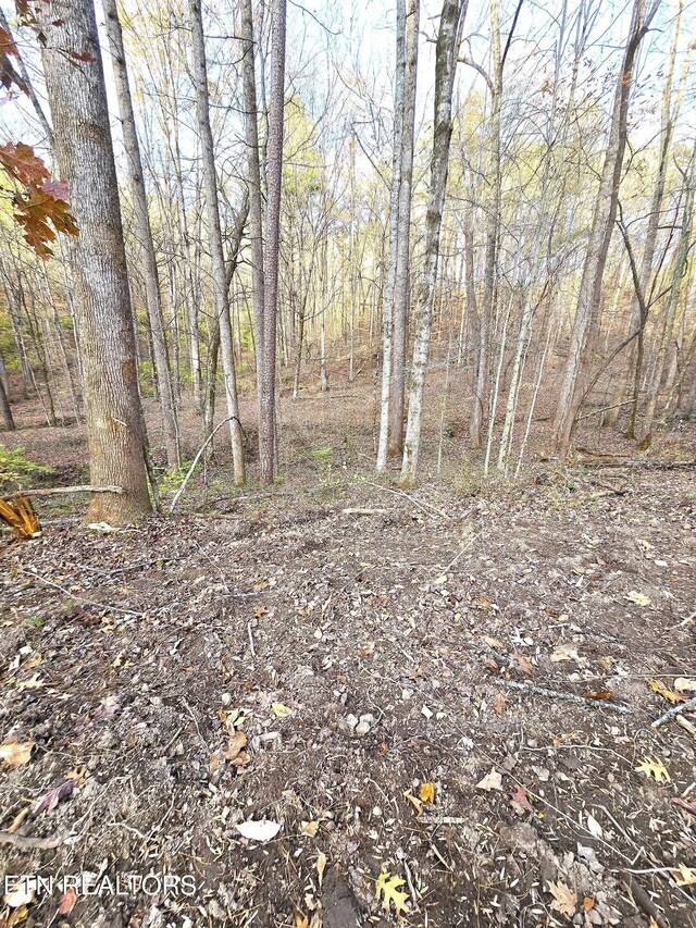 278 Norman Rd, Powell, TN 37849 - photo 9