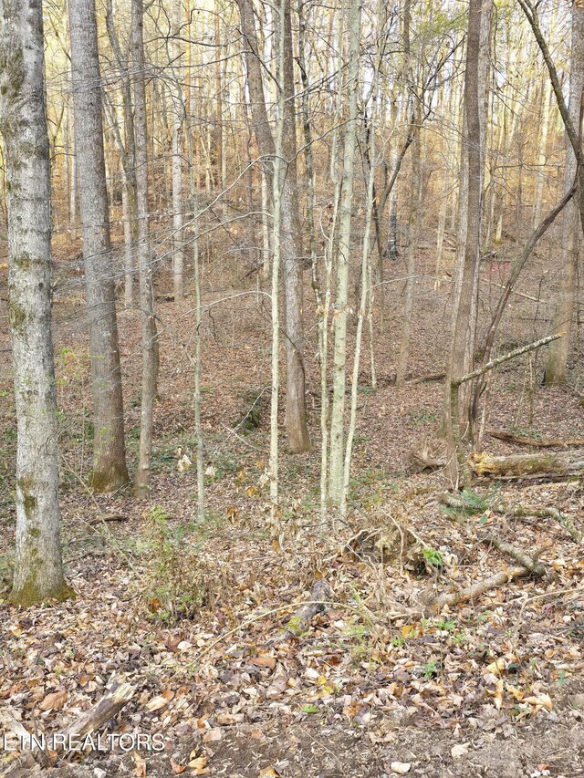 278 Norman Rd, Powell, TN 37849 - photo 10