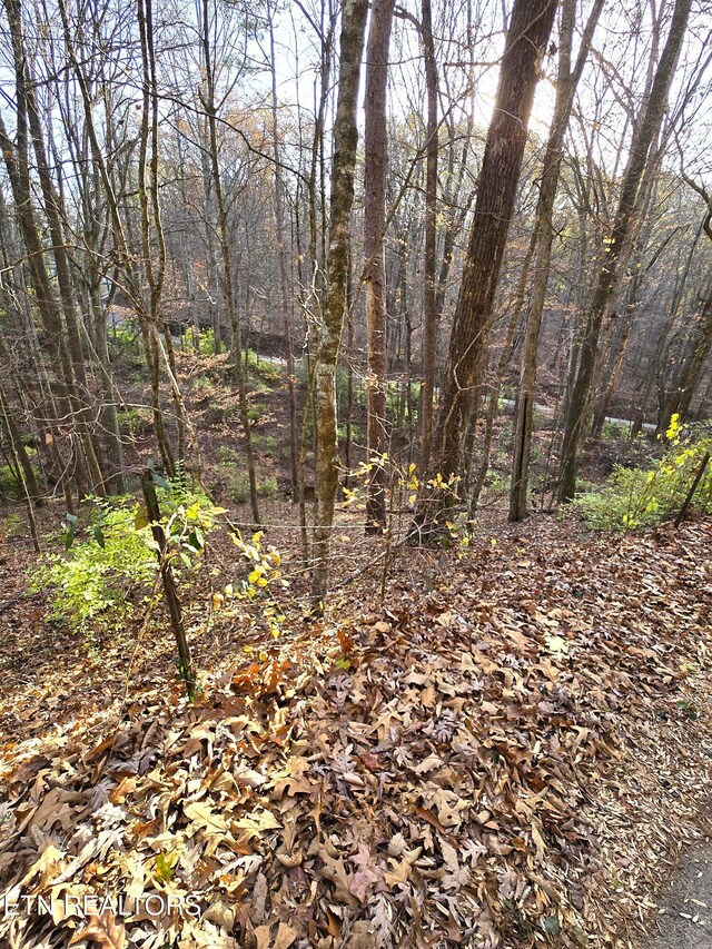 278 Norman Rd, Powell, TN 37849 - photo 12