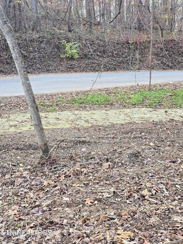 278 Norman Rd, Powell, TN 37849 - photo 6