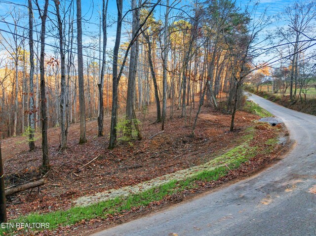 278 Norman Rd, Powell, TN 37849 - photo 4