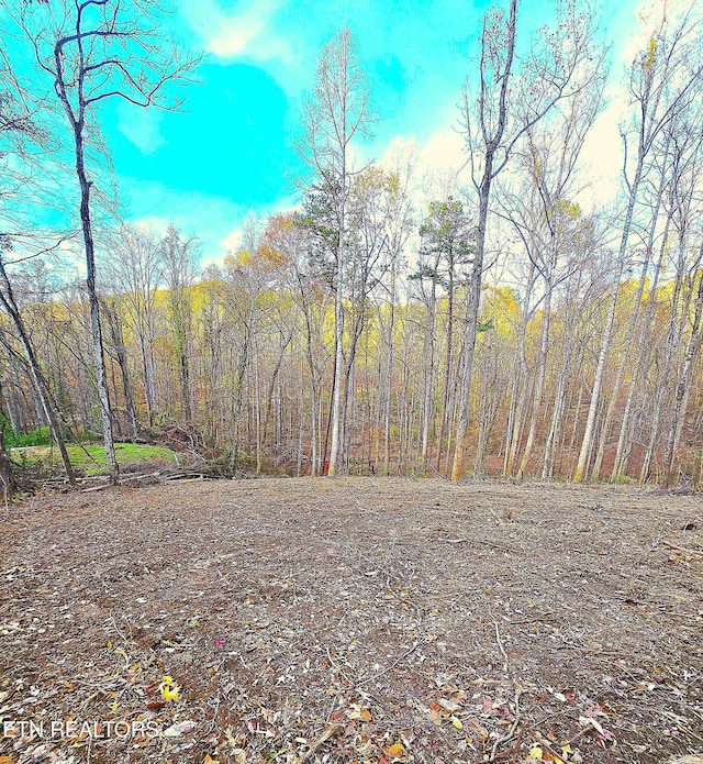 278 Norman Rd, Powell, TN 37849 - photo 2