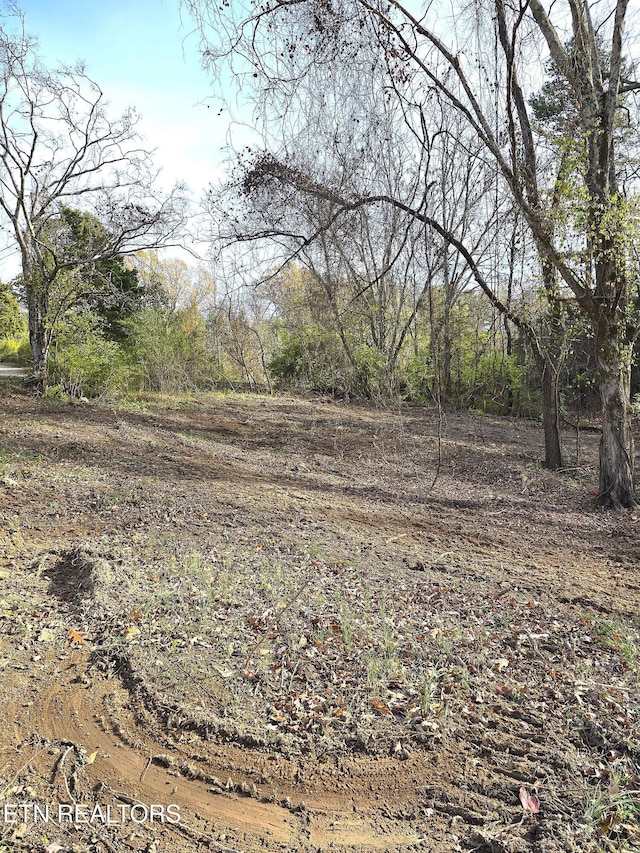 270 Wells Rd, Powell, TN 37849 - photo 8