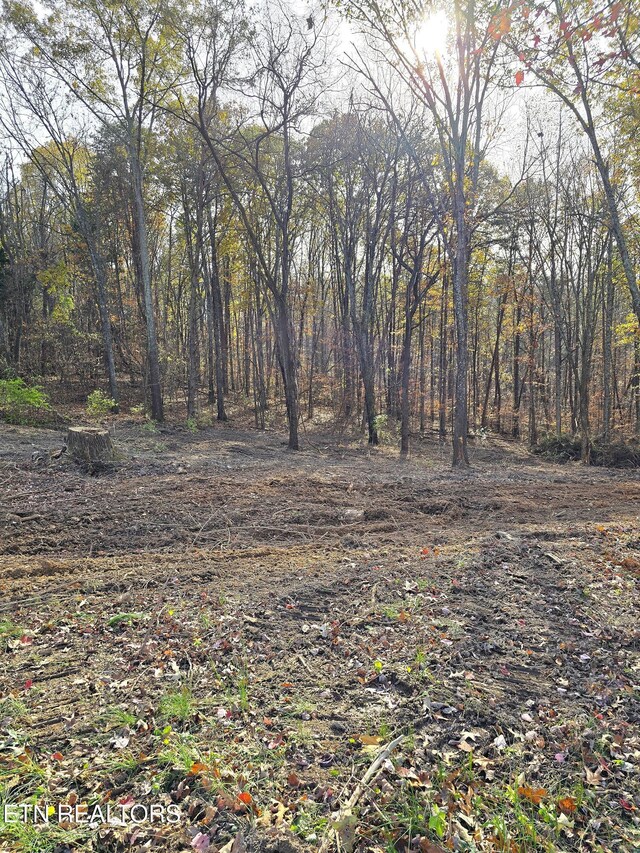 270 Wells Rd, Powell, TN 37849 - photo 7