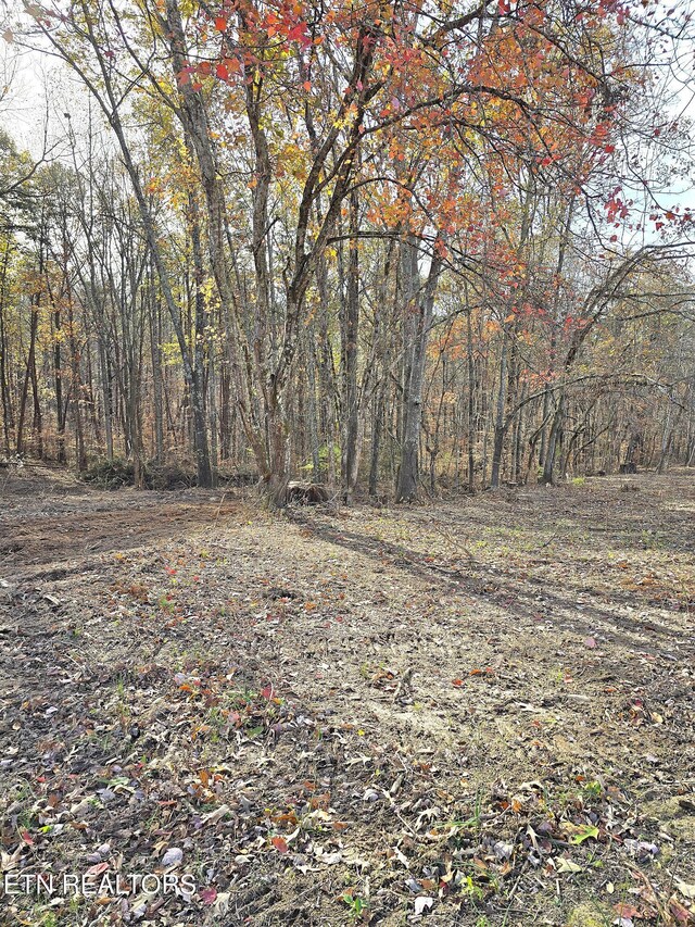 270 Wells Rd, Powell, TN 37849 - photo 11