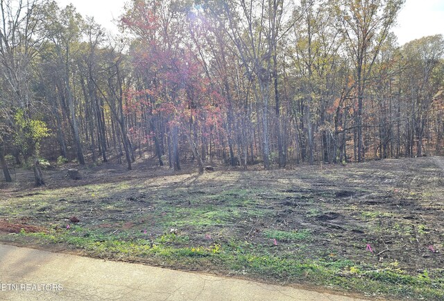 270 Wells Rd, Powell, TN 37849 - photo 4