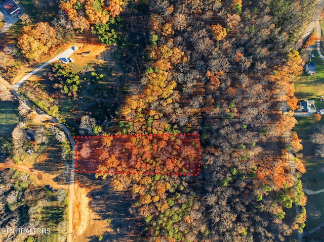 270 Wells Rd, Powell, TN 37849 - photo 5