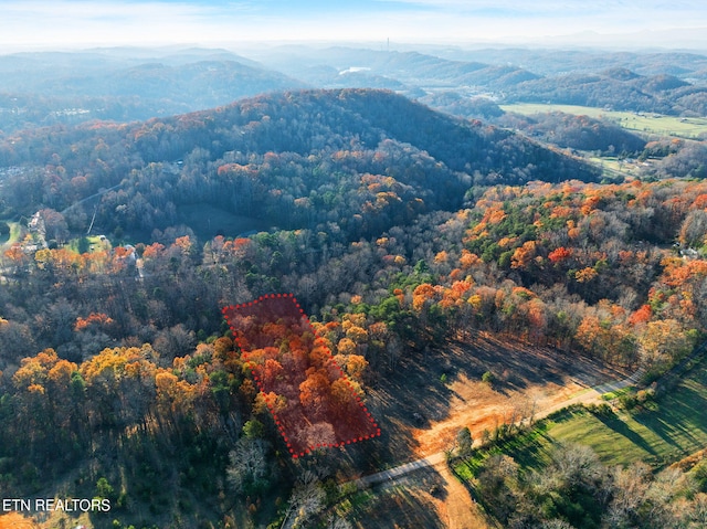 270 Wells Rd, Powell, TN 37849 - photo 6