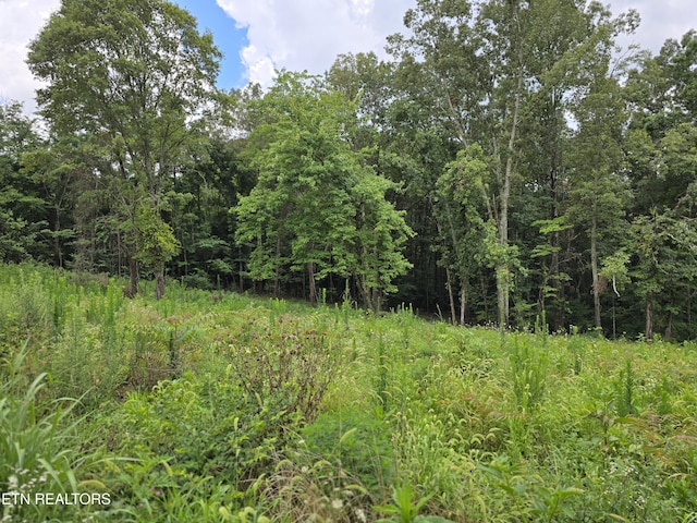 270 Wells Rd, Powell, TN 37849 - photo 1