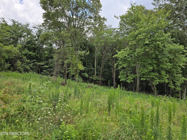 270 Wells Rd, Powell, TN 37849 - photo 3