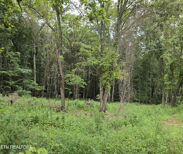 270 Wells Rd, Powell, TN 37849 - photo 2