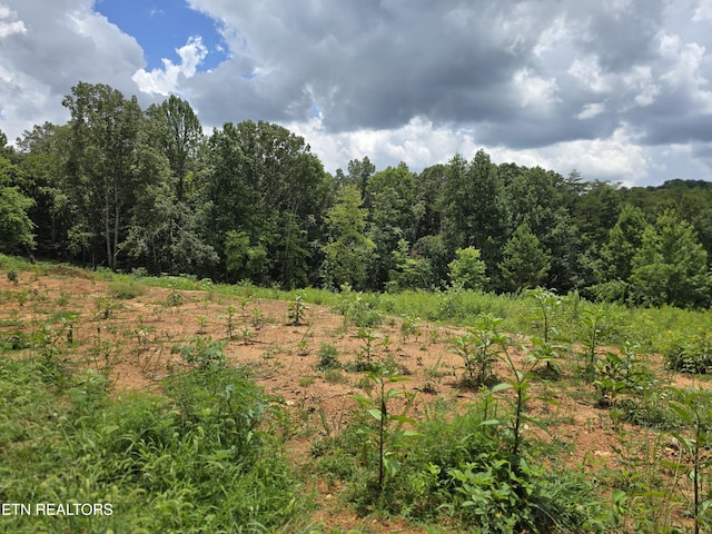 260 Wells Rd, Powell, TN 37849 - photo 1