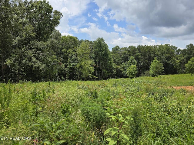 260 Wells Rd, Powell, TN 37849 - photo 2