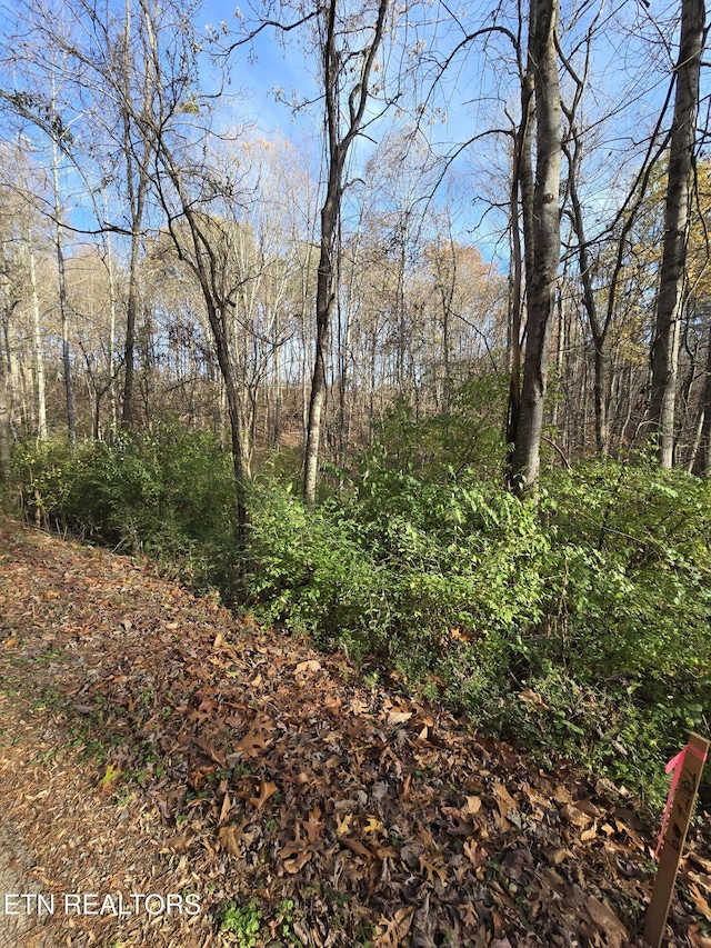 230 Wells Rd, Powell, TN 37849 - photo 7