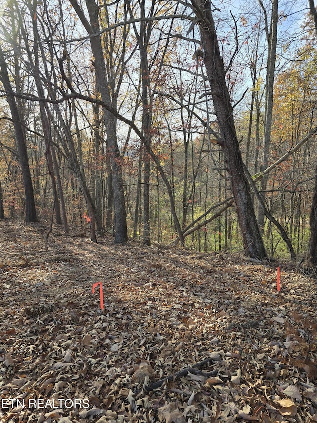 230 Wells Rd, Powell, TN 37849 - photo 8