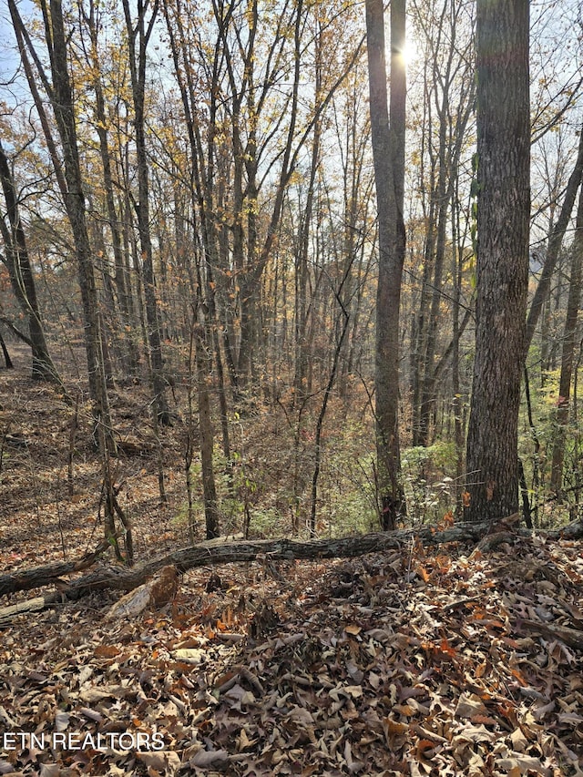 230 Wells Rd, Powell, TN 37849 - photo 9