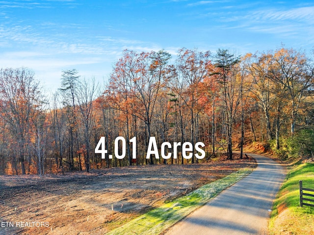 230 Wells Rd, Powell, TN 37849 - photo 1